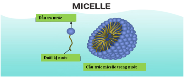 Gia công Nước tẩy trang Micellar Water 2 Nước tẩy trang micellar Water là gì?