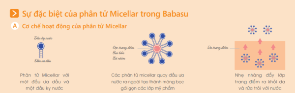 cơ chế tẩy trang micellar