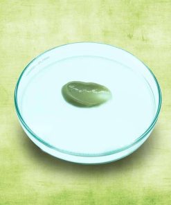 Gia công Mặt nạ trị mụn kháng khuẩn Nhật Bản