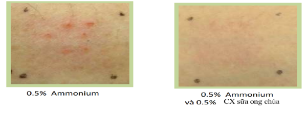 Gia công Xịt khoáng kiềm dầu 4 cải thiện da của sữa ong chúa