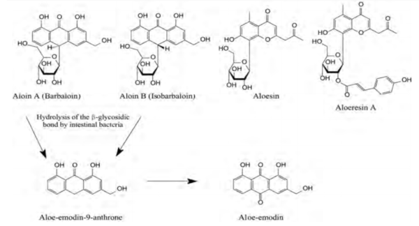 Chiết xuất lô hội 2 cấu trúc hóa học của lô hội