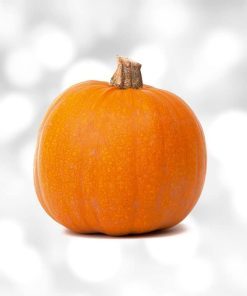 Chiết xuất bí ngô