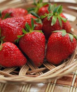 Chiết xuất dâu tây