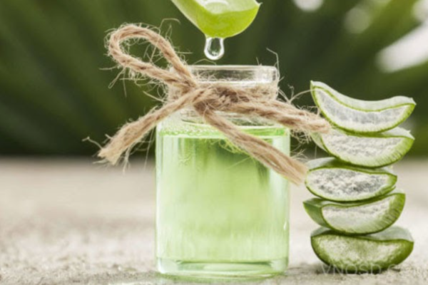 Chiết xuất lô hội 4 ứng dụng chiết xuất lô hội