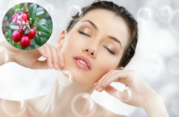 Chiết xuất lộc đề 4 công dụng của lộc đề