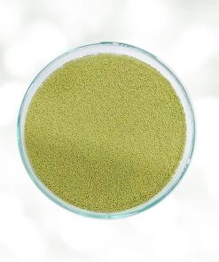Hạt cây trúc