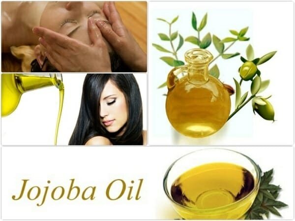 tác dụng của dầu jojoba