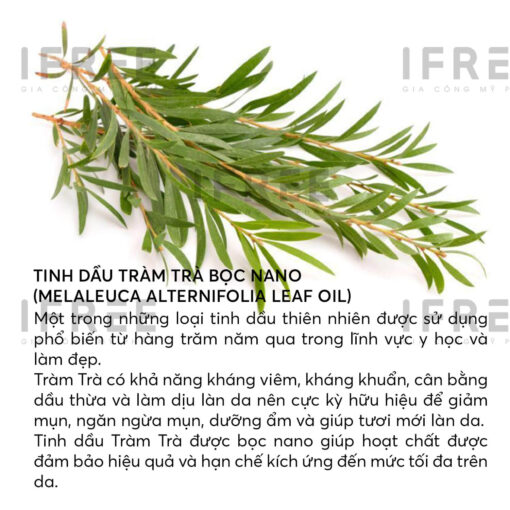 tinh-dau-tram-tra-boc-nano-melaleuca-alternifolia-leaf-oil