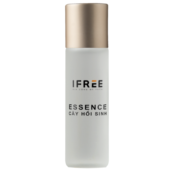 essence cây hồi sinh essence cây hồi sinh