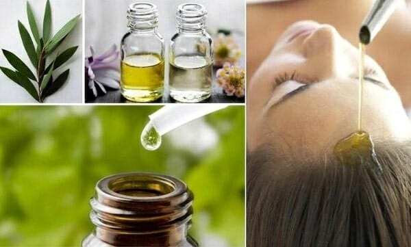 mua tinh dầu tràm trà nguyên chất ở đâu