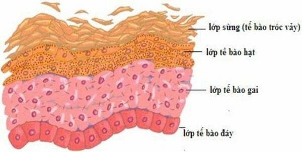 gia công gel tẩy tế bào chết theo yêu cầu
