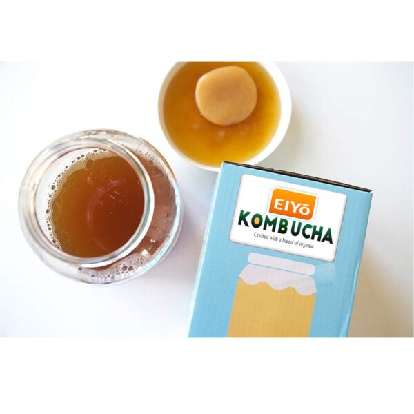 làm tra kombucha