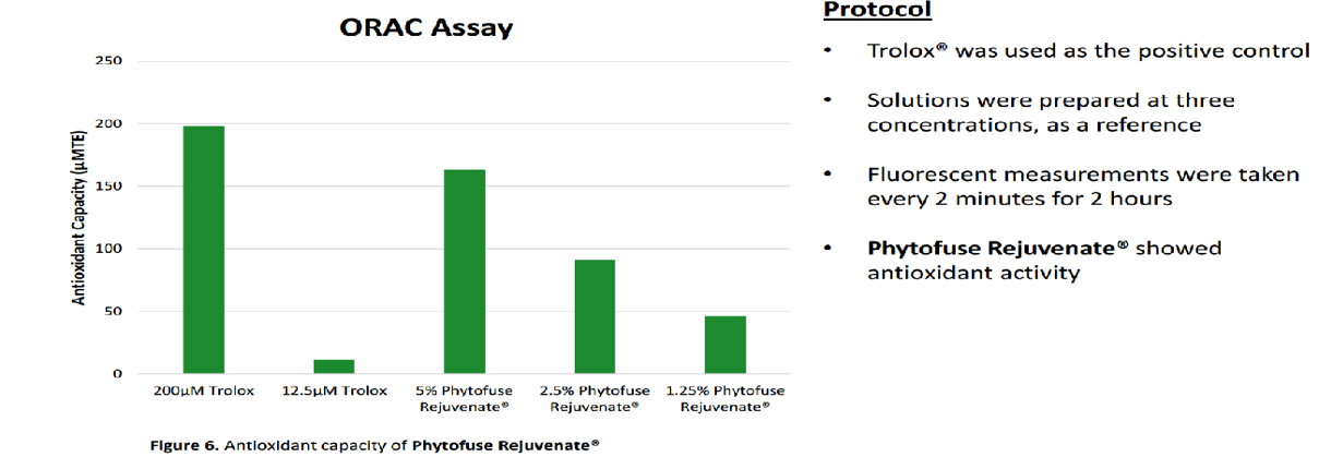 chiết xuất hạt chia với quá trình hình thành nếp nhăn