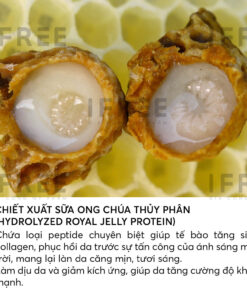 chiet-xuat-sua-ong-chua-thuy-phan-hydrolyzed-royal-jelly-protein