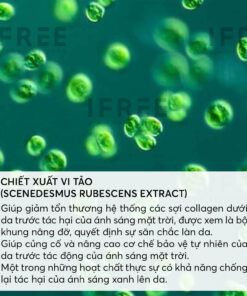 chiết xuất vi tảo lục trong gia công mỹ phẩm