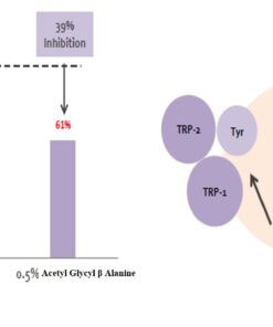 Whitening peptide - Tinh chất làm trắng da hàng đầu