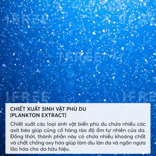 chiết xuất sinh vật phù du