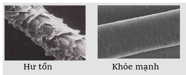 Gia công Serum dưỡng mi 14 lông mi khỏe và lông mi yếu