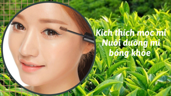 Gia công Serum dưỡng mi 13 trà xanh tác dụng dưỡng mi