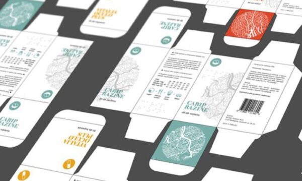 241180355 2925552547662299 8498040163091433588 n