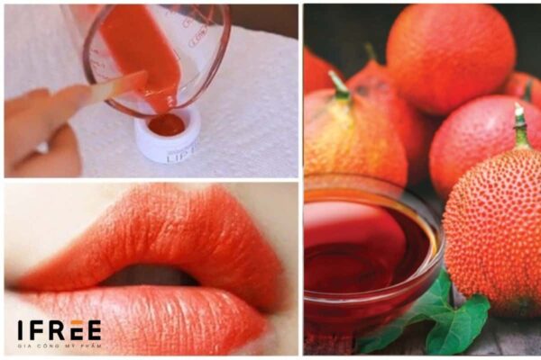 Hướng dẫn cách làm son môi từ quả gấc Hướng dẫn cách làm son môi từ quả gấc