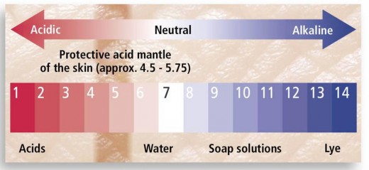 Tại sao dùng sữa tắm cho thú cưng, sữa tắm cho chó mèo 17 độ ph sữa tắm cho chó, sữa tắm cho mèo
