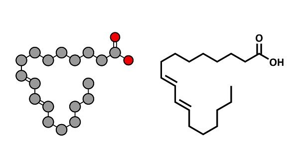 axit linoleic là gì