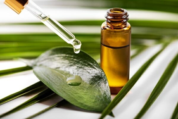 cách sử dụng tinh dầu tràm trà
