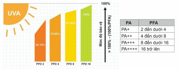 Chỉ số SPF và PA trên kem chống nắng là gì? Bật mí các chỉ số trên kem chống nắng có thể bạn chưa biết 20 chi so ppd 600x234 1