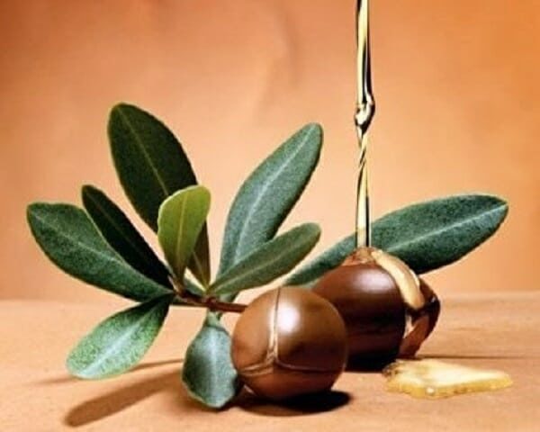 cách dùng dầu argan dưỡng tóc