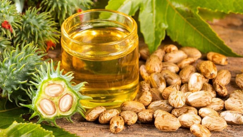 Mách bạn 4 cách dùng dầu thầu dầu trị thâm mắt tại nhà 10 Dầu thầu dầu trị thâm mắt