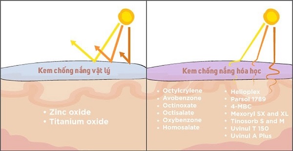Kem chống nắng vật lý là gì? 20 kem chong nang vat ly 1