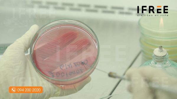 kiểm soát vi sinh trong mỹ phẩm