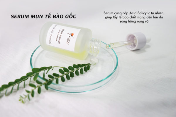 Thành phần có trong serum mụn kích hoạt tế bào gốc Thành phần có trong serum mụn kích hoạt tế bào gốc