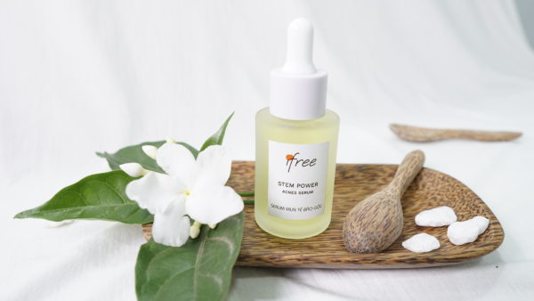 Thành phần có trong serum mụn kích hoạt tế bào gốc Thành phần có trong serum mụn kích hoạt tế bào gốc