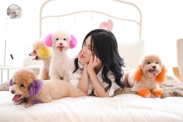 Tại sao dùng sữa tắm cho thú cưng, sữa tắm cho chó mèo 12 sữa tắm cho thứ cưng chó mèo