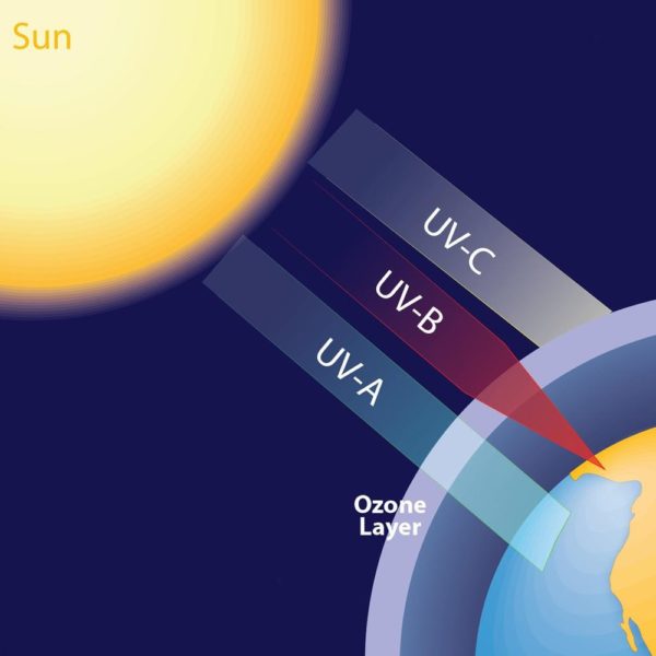 Tia UVA, UVB, UVC là gì? Các thành phần cần có trong kem chống nắng chống tia UV 6 kem chống nắng chống tia UV