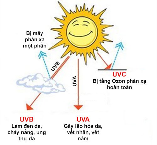Tia UVA, UVB, UVC là gì? Các thành phần cần có trong kem chống nắng chống tia UV 7 kem chống nắng chống tia UV