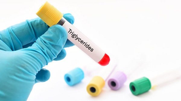 triglyceride là gì