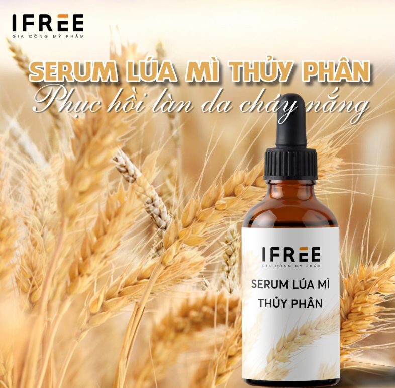 Tìm hiểu về sản xuất mỹ phẩm thiên nhiên uy tín, chuẩn CGMP 23 serum lúa mì nguyên liệu thiên nhiên