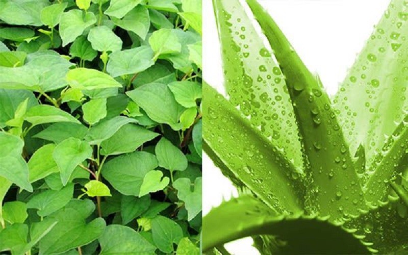 Bật mí 19 công thức mặt nạ dưỡng trắng da hiệu quả tại nhà 28 cong thuc mat na trang da hinh 23