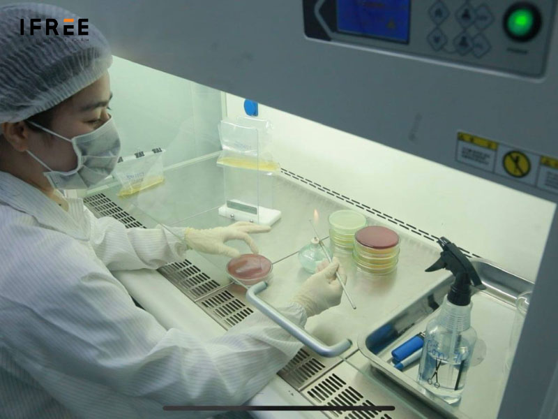 Dịch vụ gia công kem mỹ phẩm