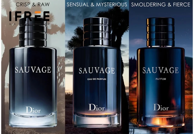 Nước hoa EDT là gì? Công thức nước hoa EDT khác gì nước hoa EDP? 27 nước hoa Dior