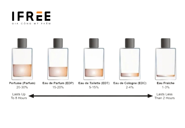 Nước hoa EDP là gì? Công thức nước hoa EDP thơm lâu 21 công thức nước hoa EDP