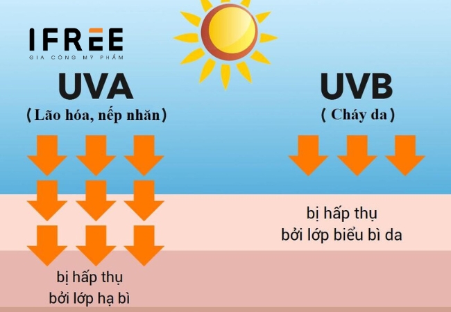 Da sạm đen do đâu? Làm thế nào để cải thiện? 12 Da sạm đen do đâu
