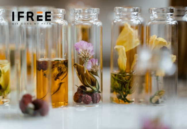 Nồng độ nước hoa được hiểu như thế nào? 6 Nồng độ nước hoa
