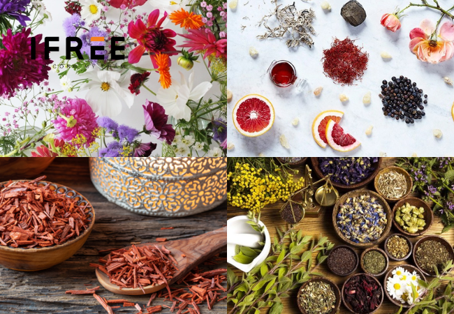 gia công nước hoa ô tô tại iFREE