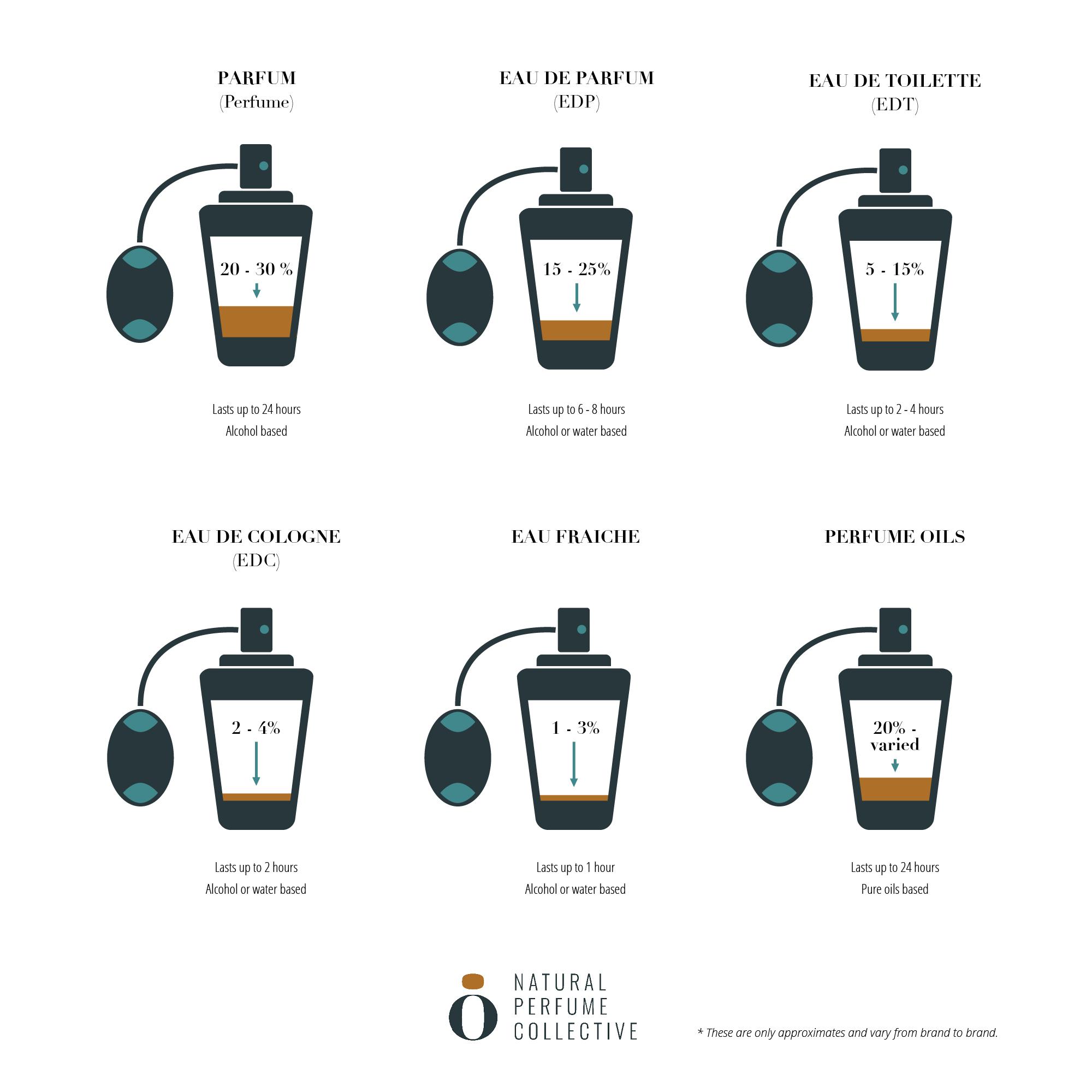 so sánh EDP và EDT nước hoa